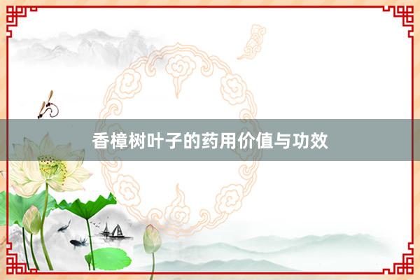香樟树叶子的药用价值与功效