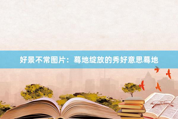 好景不常图片：蓦地绽放的秀好意思蓦地
