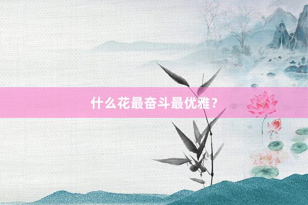 什么花最奋斗最优雅？