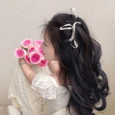 奇波和神奇动物的时代第一季